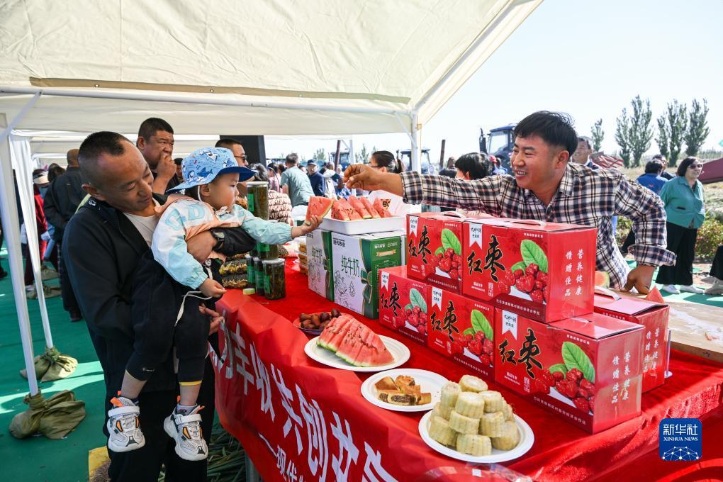 乐博乐博简介